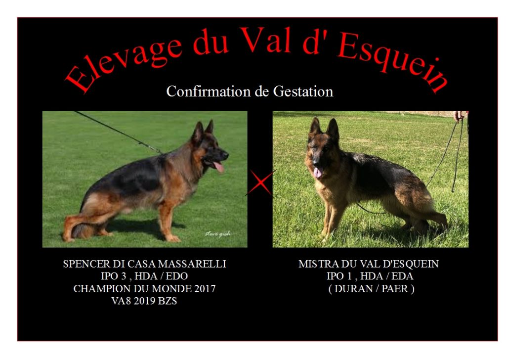 Confirmation de Gestation